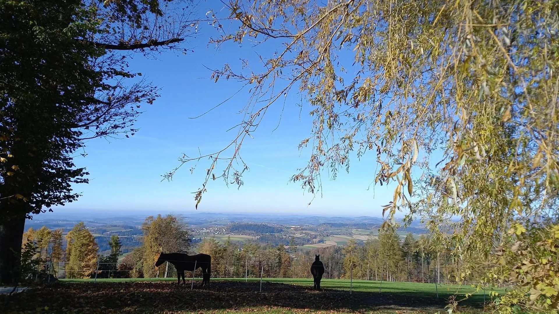 Apartment Berg-Panorama-Ferienwohnungen Gut-Lichtenau Hauzenberg