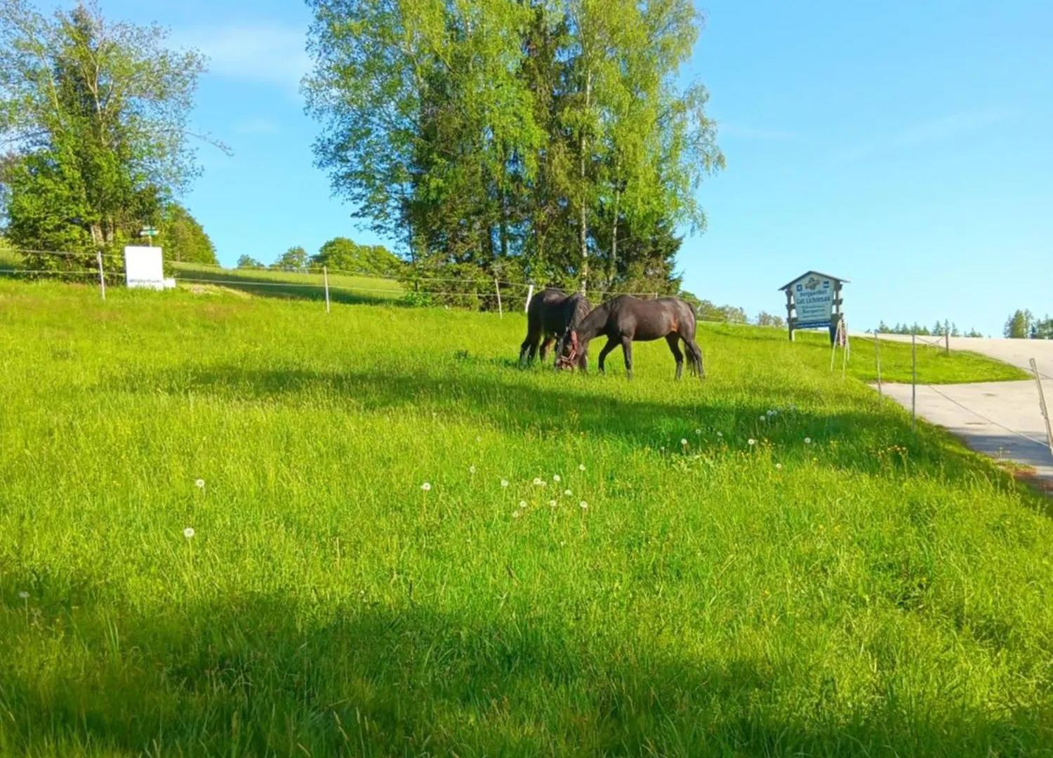 Apartment Berg-Panorama-Ferienwohnungen Gut-Lichtenau Hauzenberg