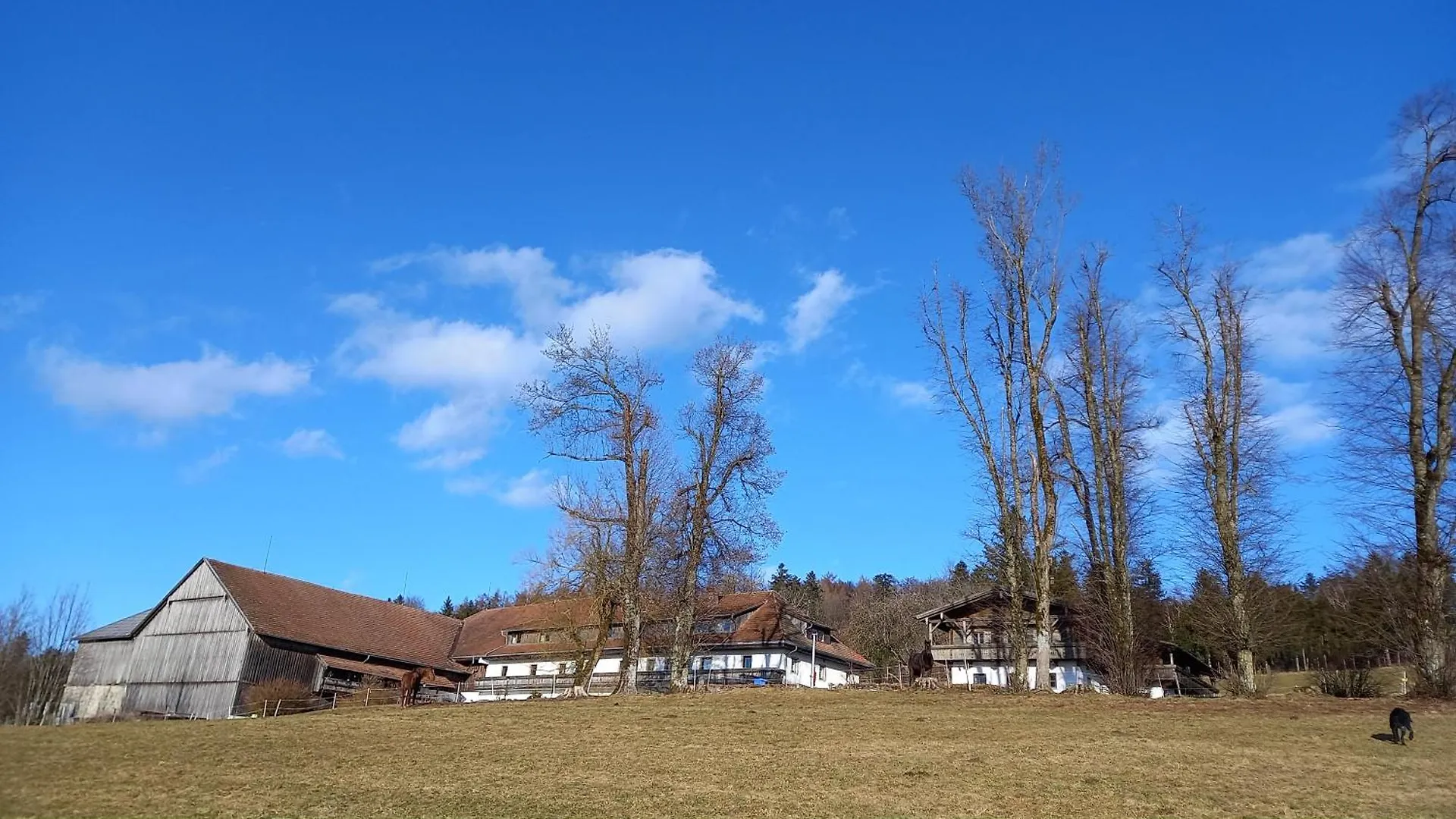 Apartment Berg-Panorama-Ferienwohnungen Gut-Lichtenau Hauzenberg